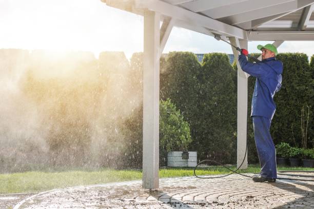 Best Driveway Pressure Washing  in Nixa, MO